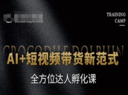 AI+短视频带货新范式，全方位达人孵化课-hl998
