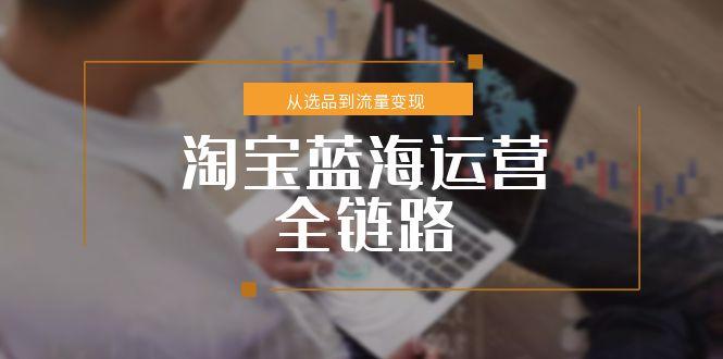淘宝蓝海运营全链路，从选品到流量变现，小类目突围完整方案-hl998