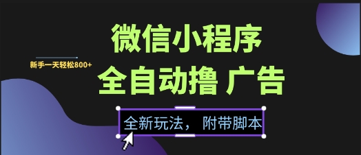 微信小程序全自动撸广告项目，彻底解决没流量的问题，新手一天8张+【揭秘】-hl998