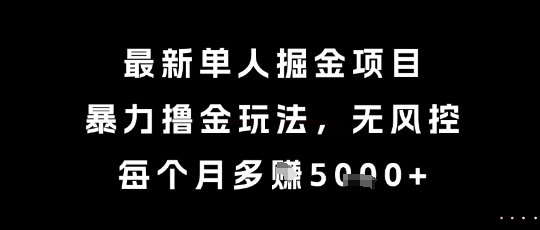 最新单人掘金项目，暴力撸金玩法，无风控，每个月多挣5k+【揭秘】-hl998