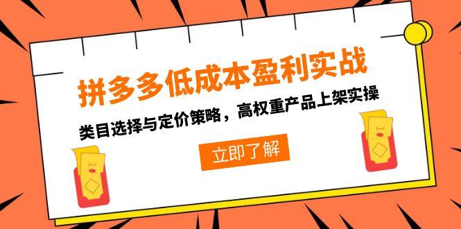 拼多多低成本盈利实战，类目选择与定价策略，高权重产品上架实操-hl998