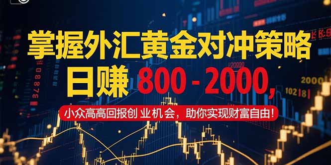 掌握外汇黄金对冲策略，日赚 800 - 2000，小众高回报创业机会，助你实...-hl998