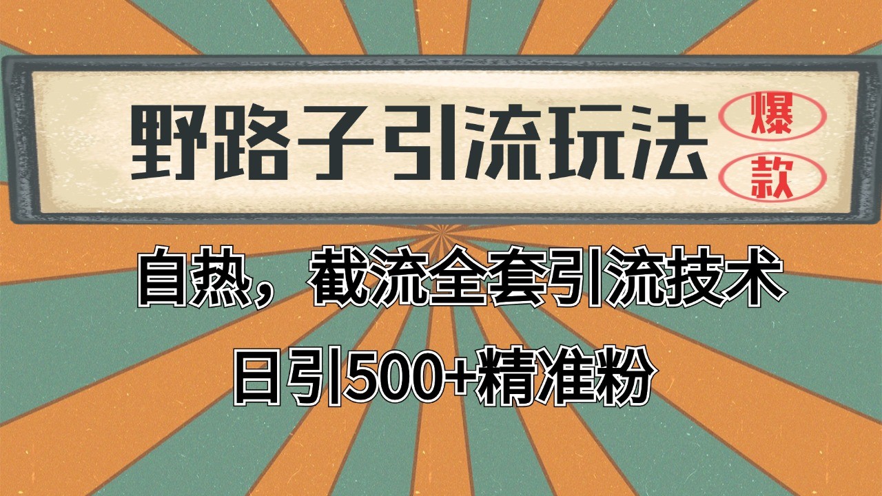 2024首发野路子引流玩法截流自热全平台打法，全自动引流【日引2000+精准客户】-hl998