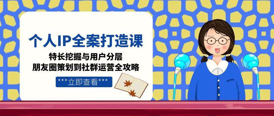 个人IP全案打造课，特长挖掘与用户分层，朋友圈策划到社群运营全攻略-hl998