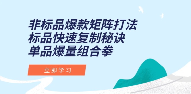 非标品爆款矩阵打法，标品快速复制秘诀，单品爆量组合拳-hl998