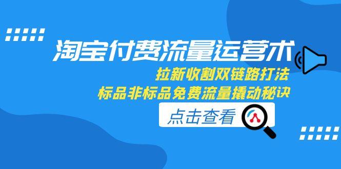 淘宝付费流量运营术，拉新收割双链路打法，标品非标品免费流量撬动秘诀-hl998