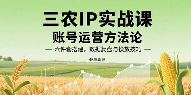 三农IP实战课：账号运营方法论，六件套搭建，数据复盘与投放技巧-hl998