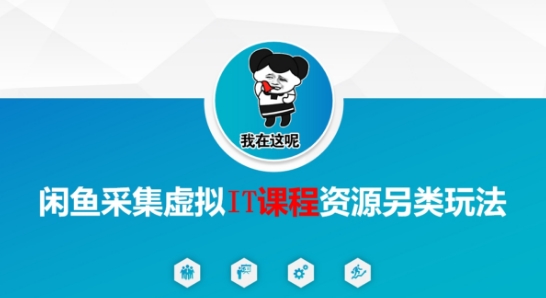 闲鱼采集虚拟IT课程资源另类玩法，干货满满-hl998