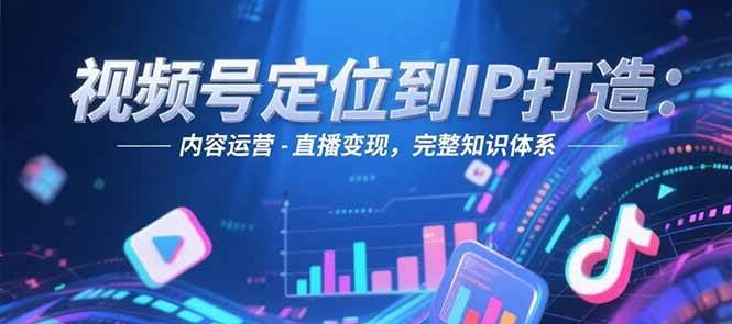 视频号定位到IP打造：账号搭建-内容运营-直播变现，完整知识体系-hl998
