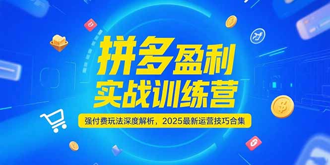 拼多多盈利实战训练营，强付费玩法深度解析，2025运营技巧合集-更新6月-hl998