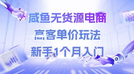 咸鱼无货源电商，高客单价玩法，新手1个月入门-hl998