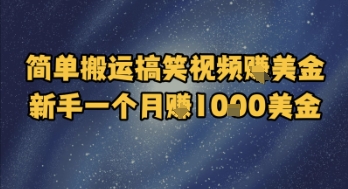 简单搬运搞笑视频挣美金，新手一个月入1k美金-hl998