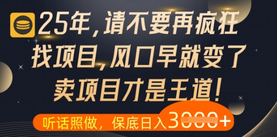什么？25年你还在疯狂找项目做，醒醒吧，看完这些你全都懂了【揭秘】-hl998