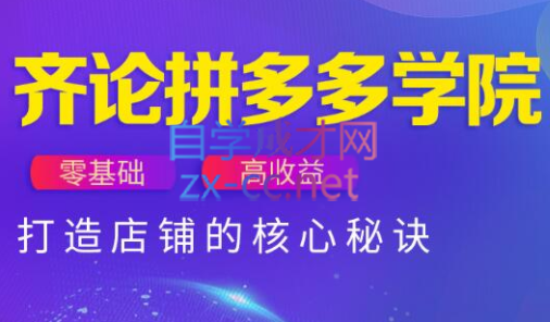 齐论拼多多vip课程-hl998