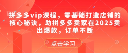 拼多多vip课程，零基础打造店铺的核心秘诀，助拼多多卖家在2025卖出爆款，订单不断-hl998