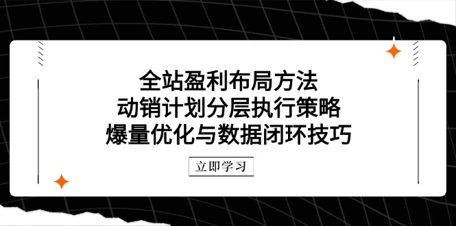 全站盈利布局方法：动销计划分层执行策略，爆量优化与数据闭环技巧-hl998