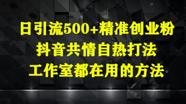 日引流500+精准创业粉，抖音共情自热打法，工作室都在用的方法-hl998
