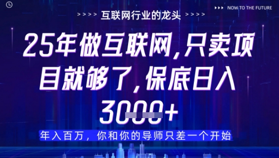 什么！25年你还在找项目做？风口早就变了，卖项目才是稳挣不赔【揭秘】-hl998