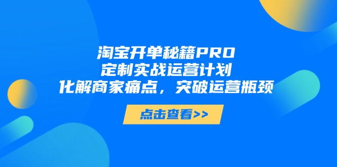 淘宝开单秘籍PRO，定制实战运营计划，化解商家痛点，突破运营瓶颈-hl998