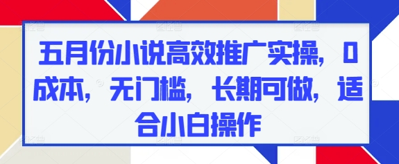 五月份小说高效推广实操，0成本，无门槛，长期可做，适合小白操作-hl998