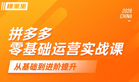仙道电商·拼多多零基础运营实战课-hl998