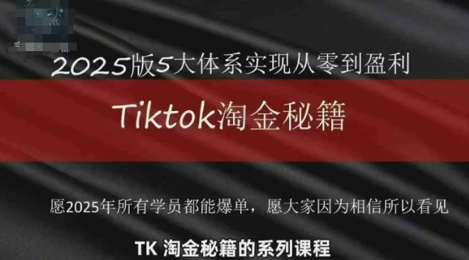 TikTok跨境2025淘金秘籍，​2025TikTok从0到盈利变现-hl998