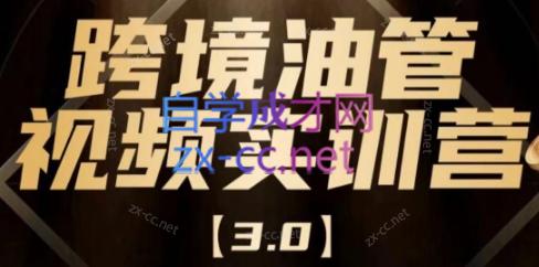 阿蔺Leo·跨境油管视频YouTube实训营(更新2025)-hl998