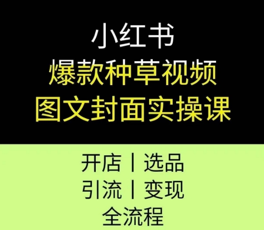 小红书爆款种草视频图文封面实操课，开店、选品、引流、变现全流程-hl998