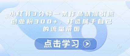 小红书3分钟一条作品精准引流创业粉300+，打造属于自己的流量帝国-hl998