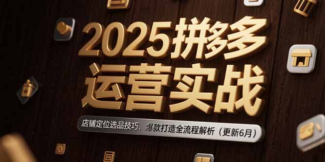 2025拼多多运营实战：店铺定位选品技巧，爆款打造全流程解析(更新6月-hl998