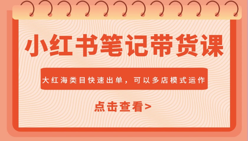 小红书笔记带货课，大红海类目快速出单，市场大，可以多店模式运作(更新)-hl998