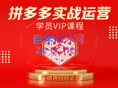 推易电商·拼多多实战运营课(更新2025月)-hl998