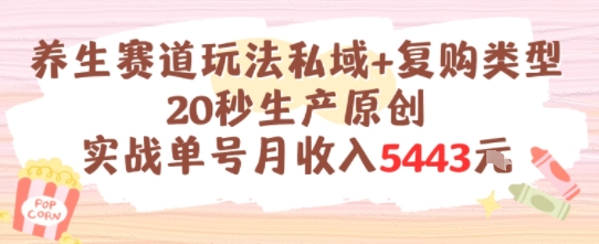 养生赛道玩法私域+复购类型，20秒生产原创实战单号月收入5k+-hl998
