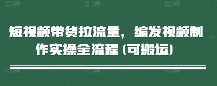 短视频带货拉流量，编发视频制作实操全流程(可搬运)-hl998