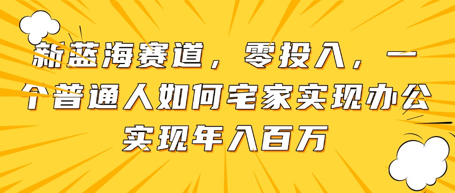 新蓝海赛道，零投入，一个普通人如何宅家办公实现年入百万-hl998