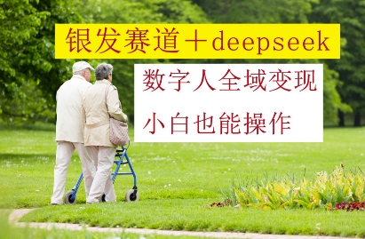 银发赛道+deepseek数字人全域变现，小白也能操作-hl998