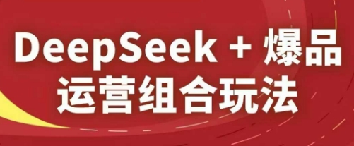DeepSeek+爆品运营组合玩法，2025淘系精品课-hl998