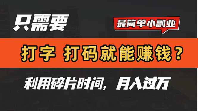 只需要打字，打码，就能赚钱？简单的赚钱小副业，利用碎片时间，月入过万-hl998