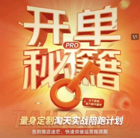 淘宝开单秘籍PRO，量身定制淘天实战陪跑计划，告别做店迷茫、快速突破运营瓶颈期(更新)-hl998