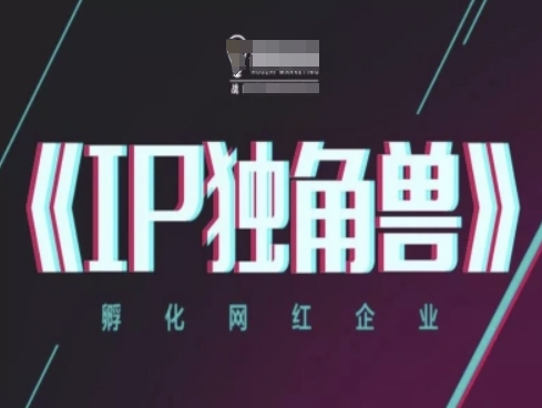 IP独角兽，孵化网红企业，ip教程-hl998