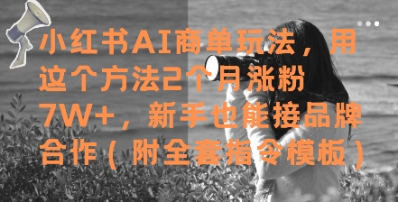 小红书AI商单玩法，用这个方法2个月涨粉7W+，新手也能接品牌合作(附全套指令模板)-hl998