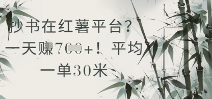抄书在小红薯平台？平均一单30米，一天收益几张！-hl998