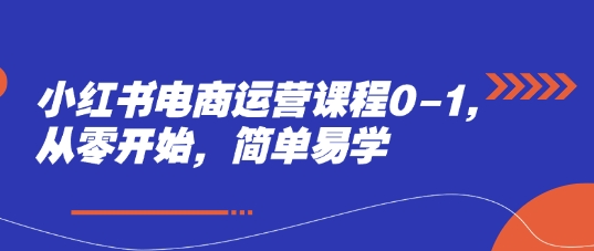 小红书电商运营课程0-1，从零开始，简单易学-hl998