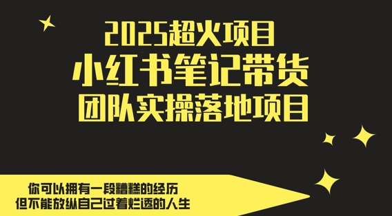 2025超火项目，副业最佳选择，小红书笔记带货团队实操落地项目，，轻松日入5张-hl998