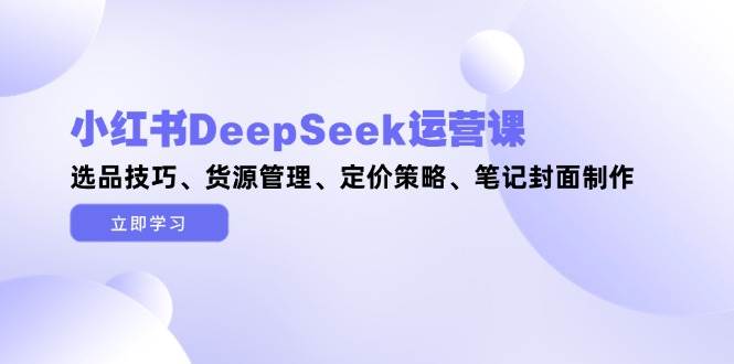 小红书DeepSeek运营课，选品技巧、货源管理、定价策略、笔记封面制作-hl998