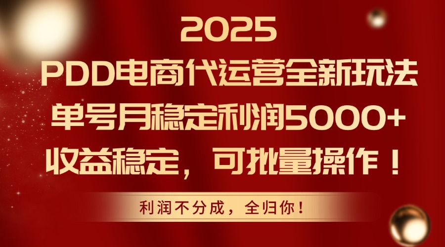 2025PDD电商代运营全新玩法，单号月稳定利润5000+，收益稳定，可批量操作-hl998