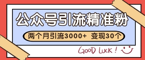 公众号精准粉引流玩法，2个月3000+精准粉，变现30个W【揭秘】-hl998