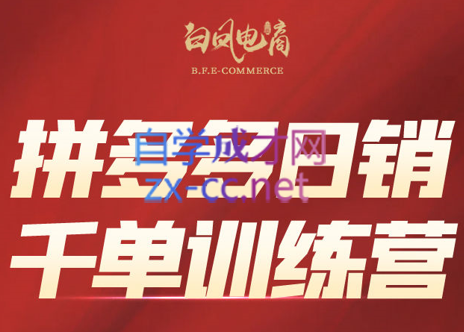 白凤电商·拼多多日销千单训练营(更新5月)-hl998