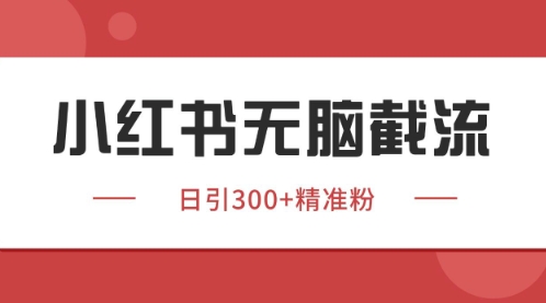 小红书只要你有同行就能获客，独家野路子获客玩法，暴力截流【揭秘】-hl998