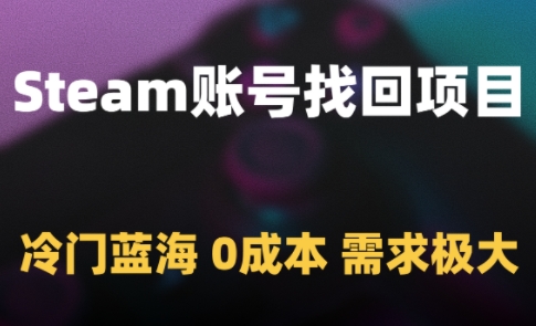 Steam账号找回项目，冷门蓝海，0成本，需求极大-hl998